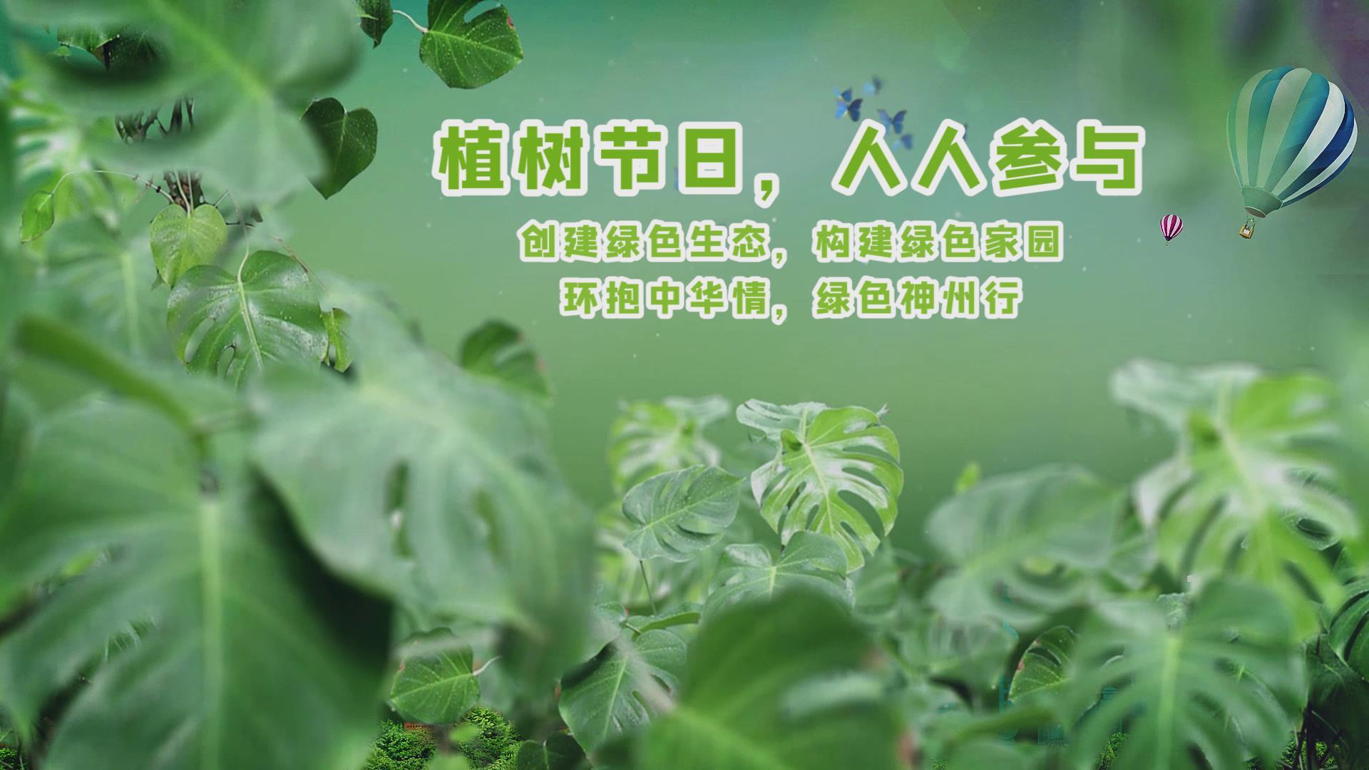 植树节绿色公益环保宣传片视频的预览图