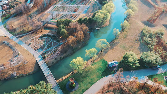 上海松江辰山植物园视频的预览图