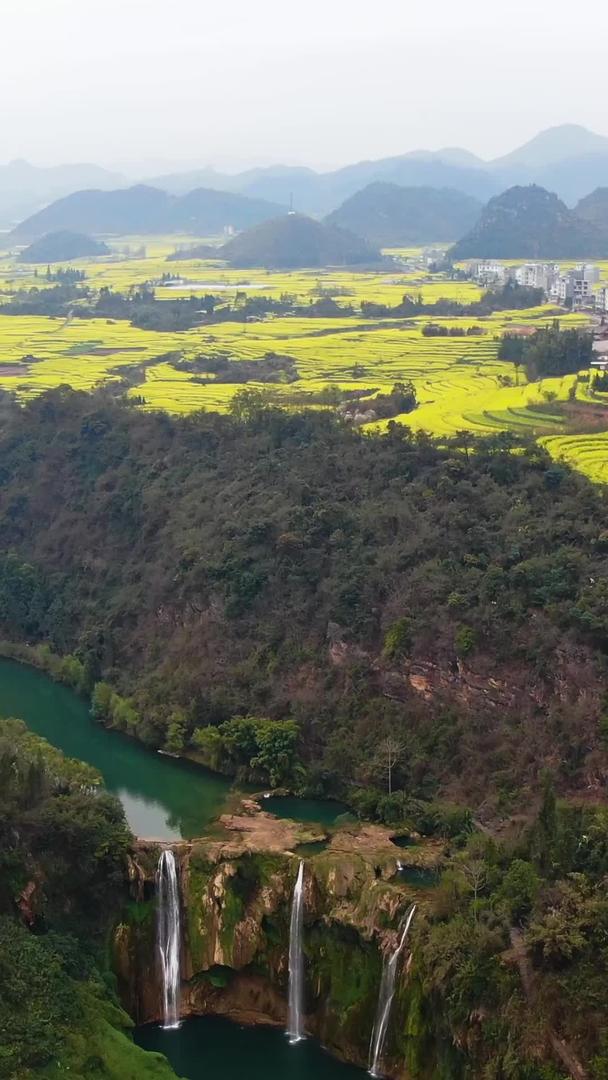 航拍云南罗平春季油菜花和九龙瀑布群4A景观自然景观视频视频的预览图