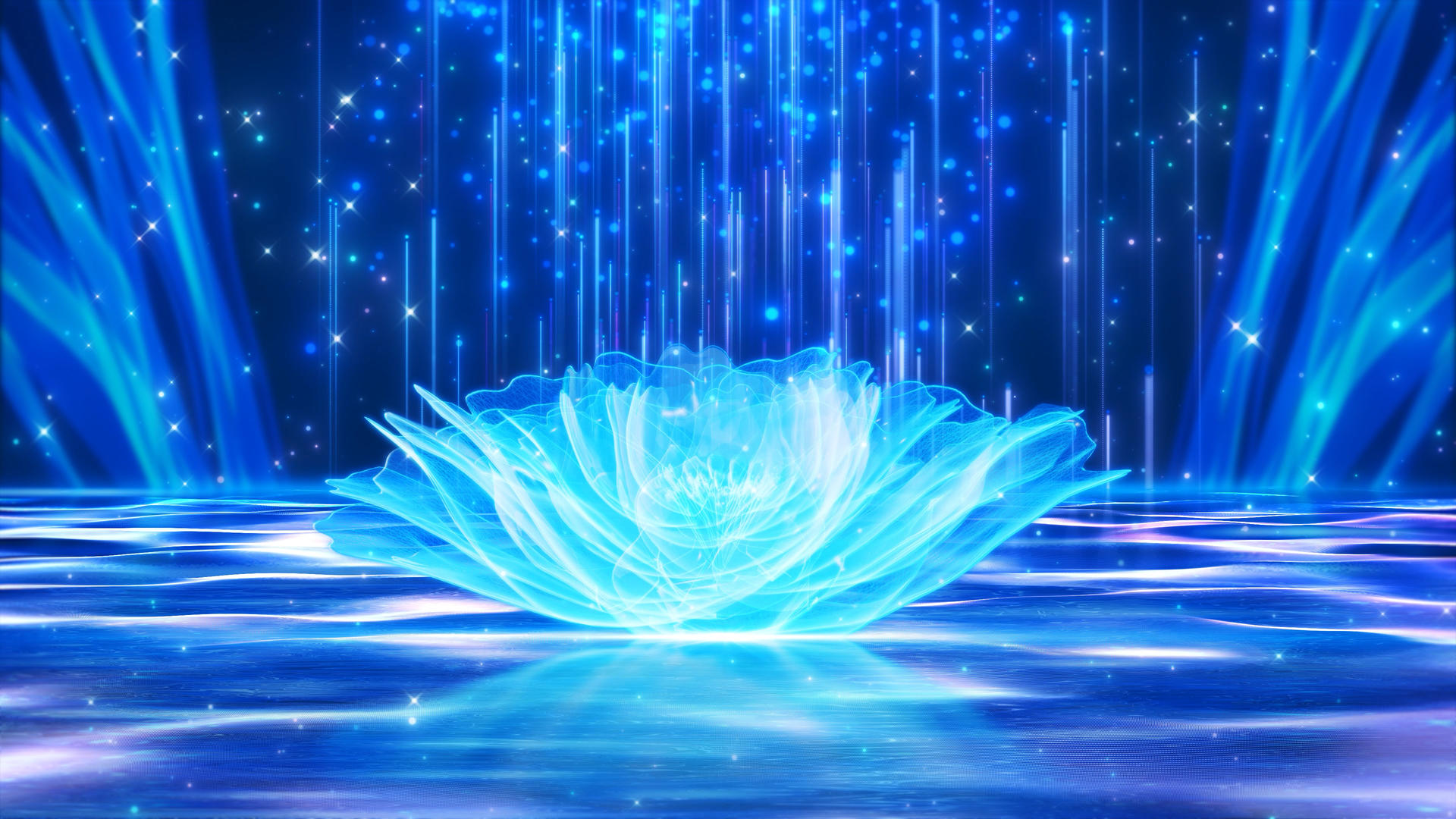 美丽酷炫的蓝色牡丹幕布粒子线舞台背景视频的预览图