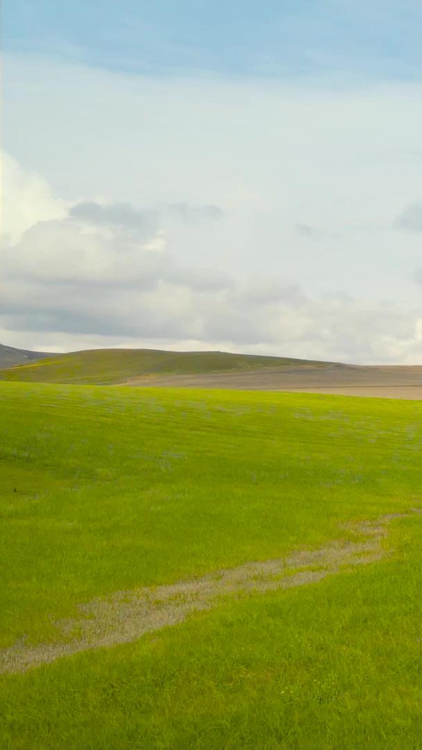 内蒙古呼伦贝尔草原大草原视频的预览图