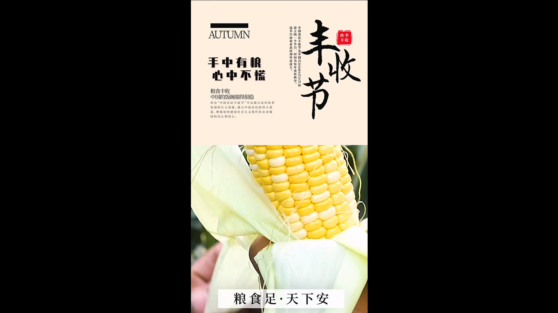 简洁美丽的中国农民丰收节海报AE模板视频的预览图