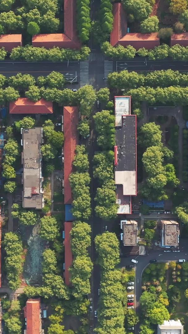 武汉青山区航拍拆迁武钢宿舍苏联红房街区素材视频的预览图