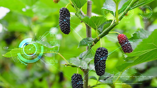 现代化生态农产品科技合成视频的预览图