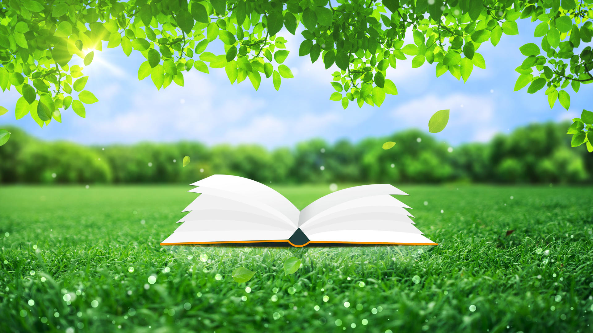 美丽的绿色世界读书日写实草地绿树读书背景视频的预览图