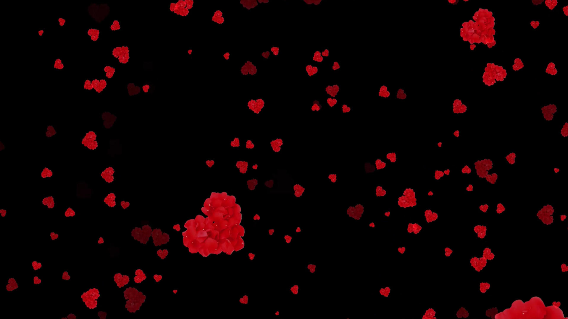 红色桃心动画元素带透明度视频的预览图