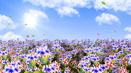 4K春天鲜花穿梭背景素材视频的预览图