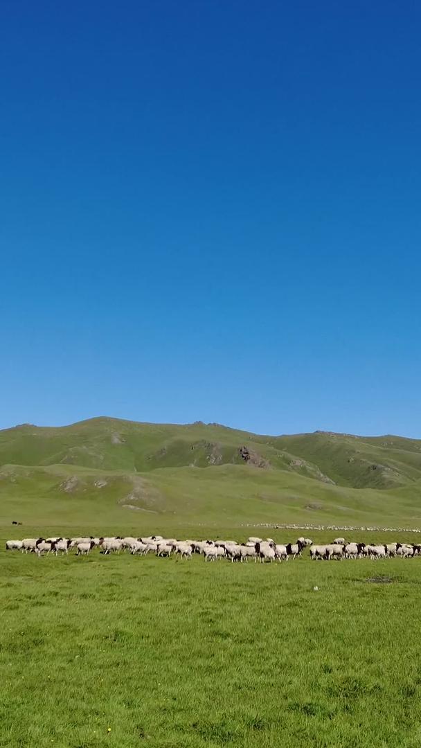 新疆辽阔的城市风景蓝天白云自然风景素材视频的预览图