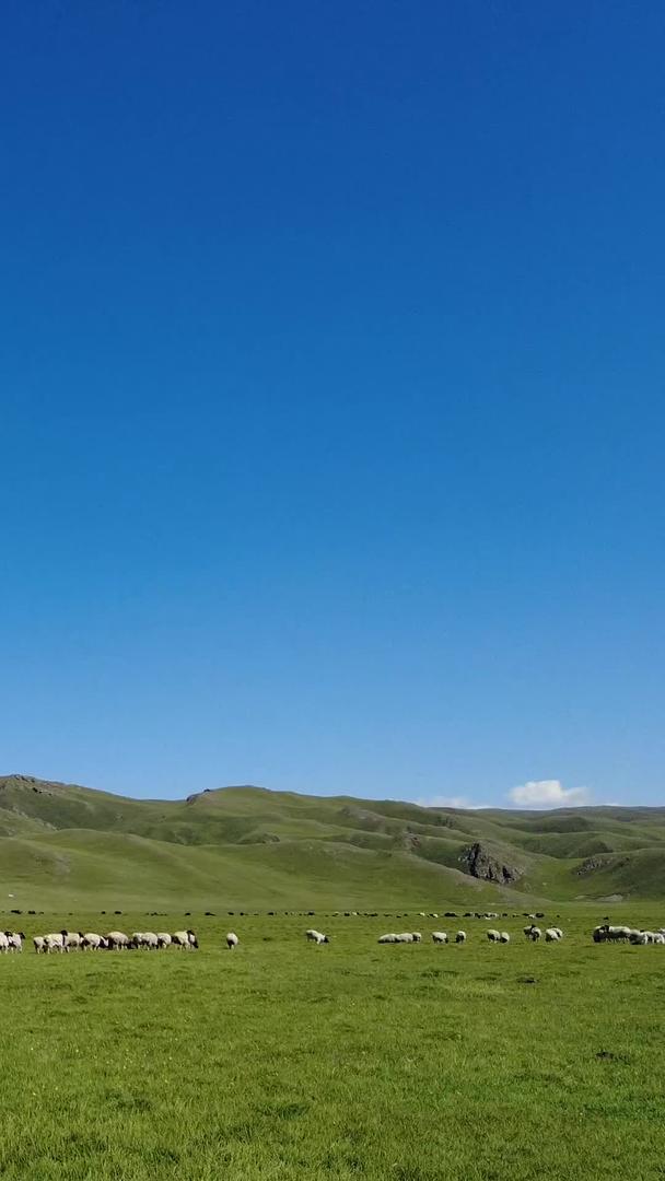 新疆辽阔的城市风景蓝天白云自然风景素材视频的预览图