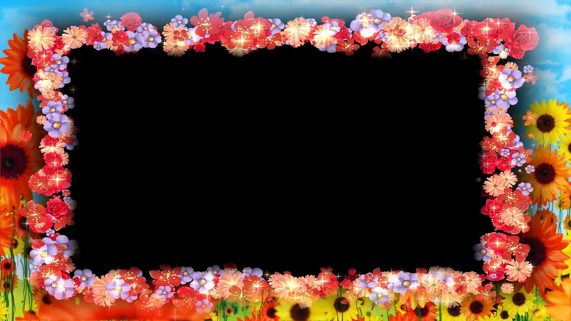 4k花朵盛开边框视频的预览图