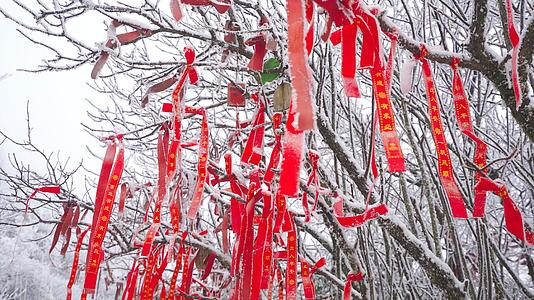 游客雪地里挂的红色平安福视频的预览图
