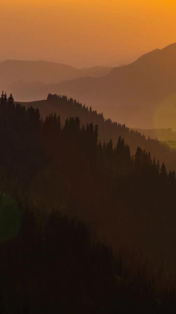 大山山脉针叶林金黄日出视频的预览图