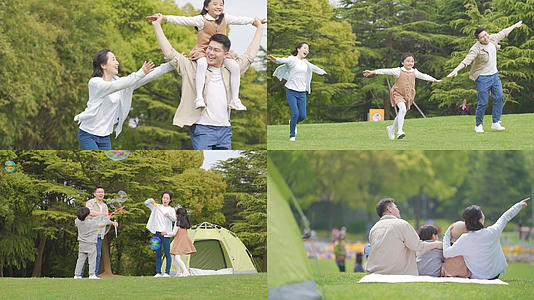 【人像合集】一家人在草地游玩合集视频的预览图