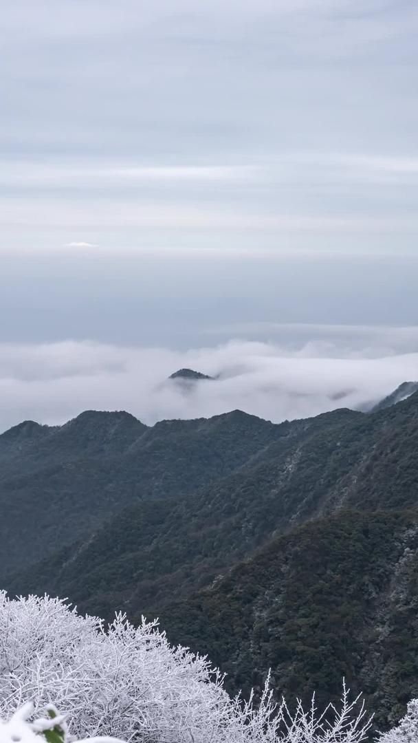 金佛山悬崖绝壁金龟朝阳云海延迟视频的预览图