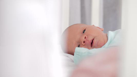 新生儿出生的第一天视频的预览图