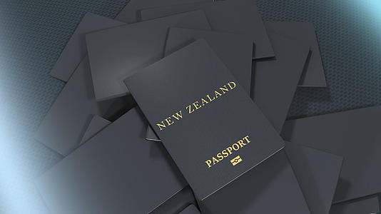制作新西兰旅行护照的艺术家视频的预览图