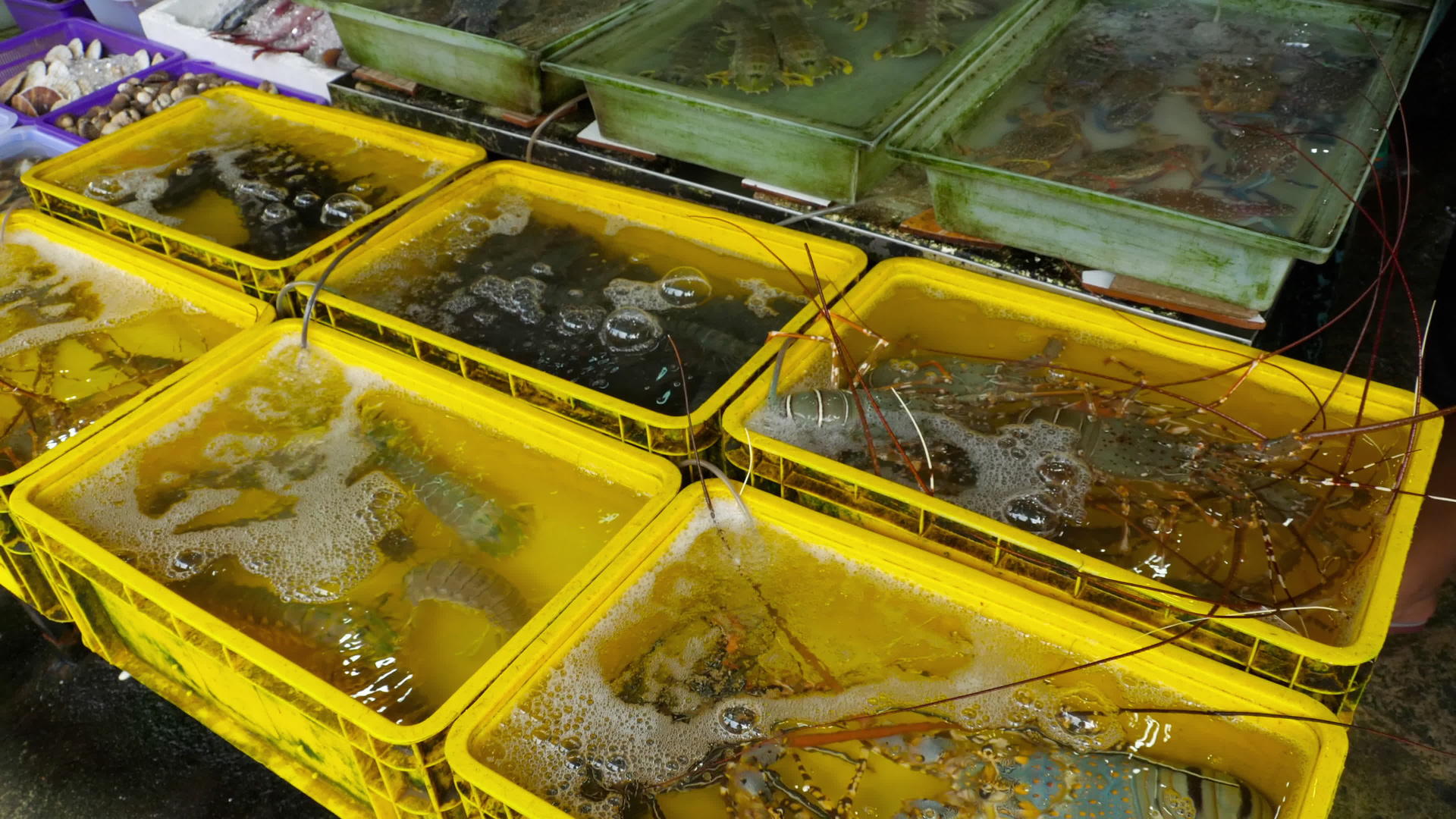 泰国街头市场上的新鲜海鲜和海鲜视频的预览图