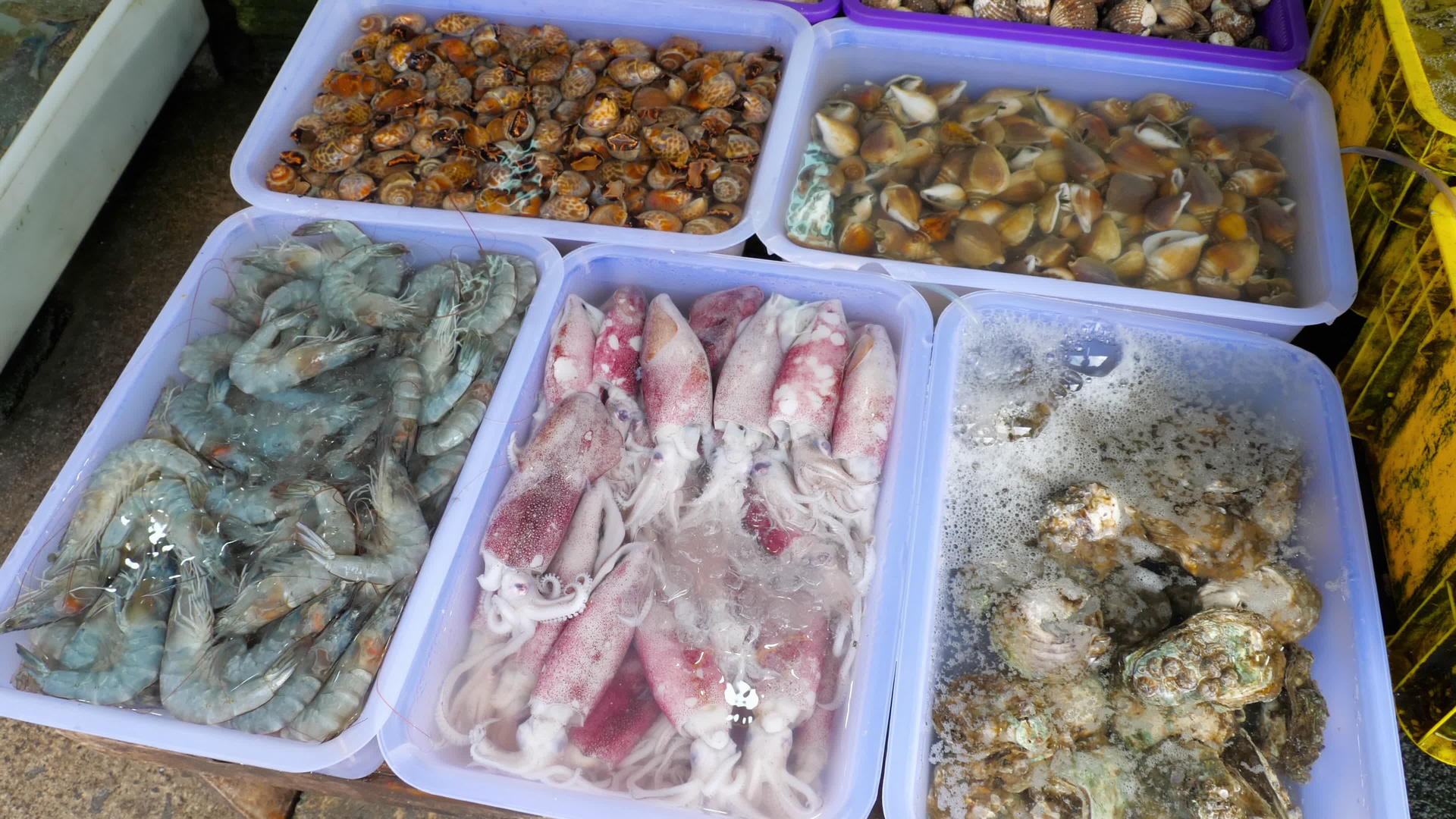 泰国街头市场上的新鲜海鲜和海鲜视频的预览图