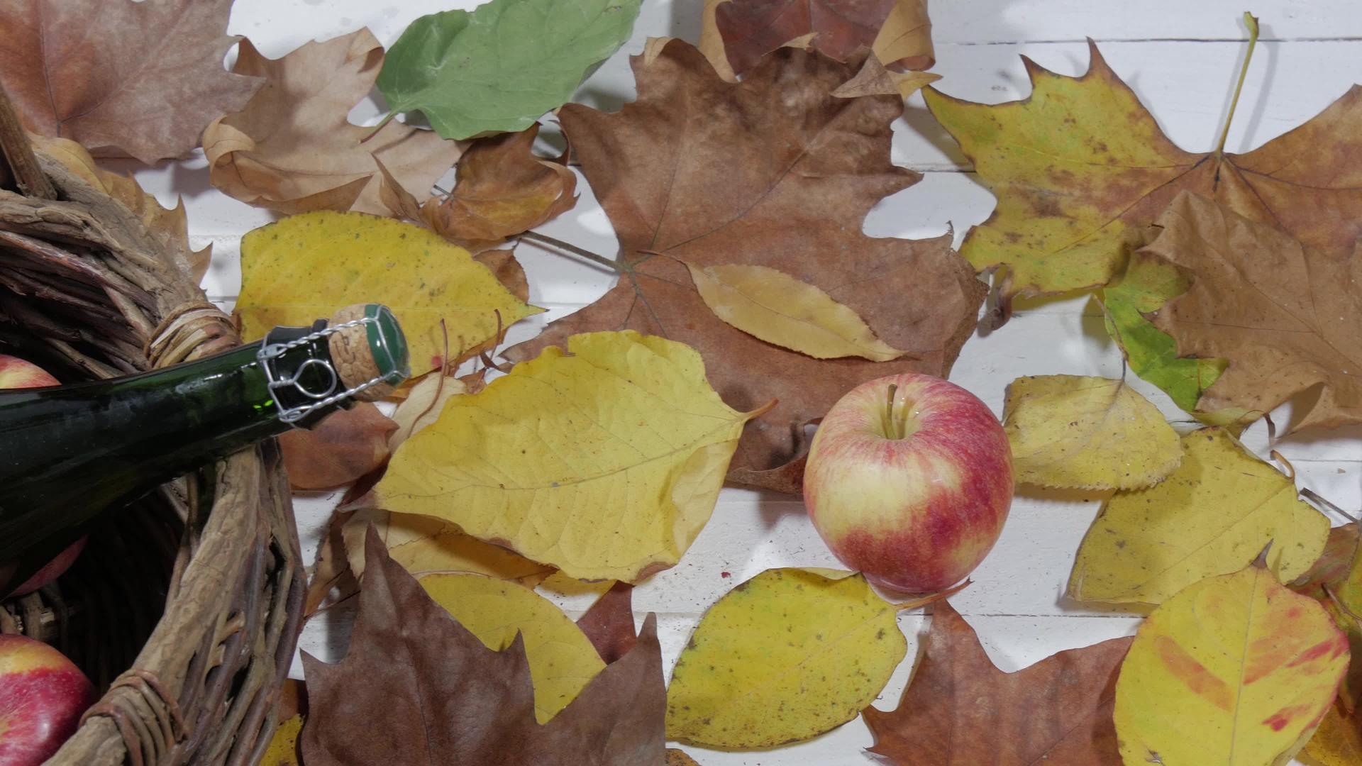 秋叶篮里有一瓶苹果和苹果视频的预览图