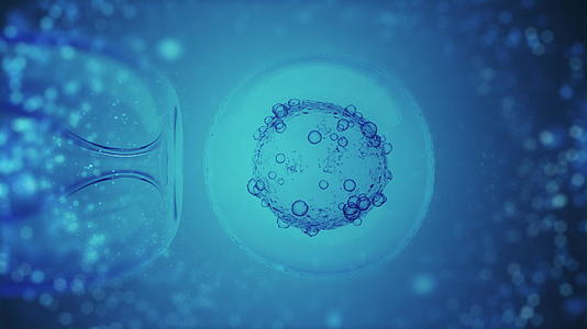 iv体外受精通过蓝色显微镜进行视频的预览图