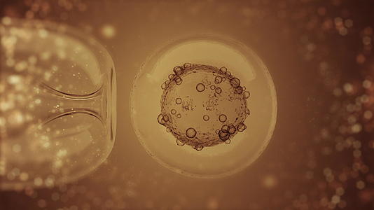 iv体外受精通过金的显微镜视频的预览图