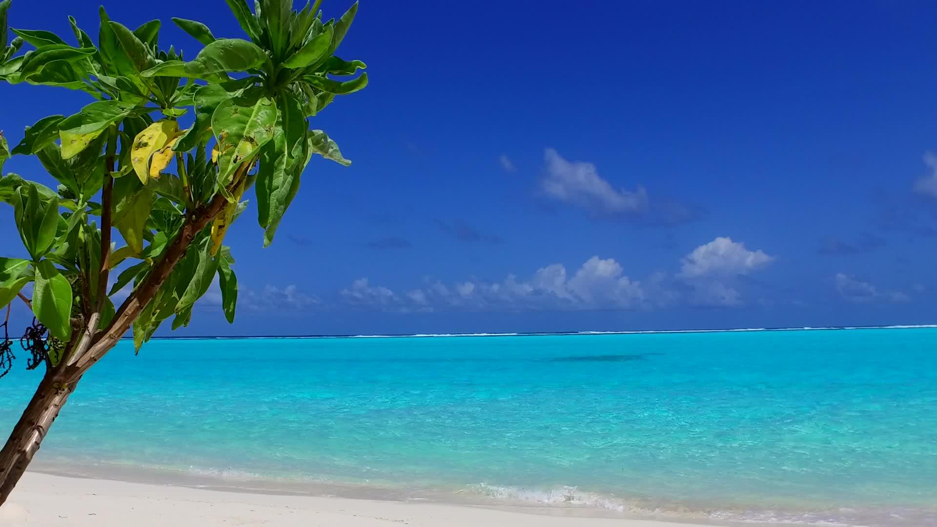 热带泻湖海滩水蓝色的水和靠近波浪的白色海滩背景为热带泻湖海滩视频的预览图