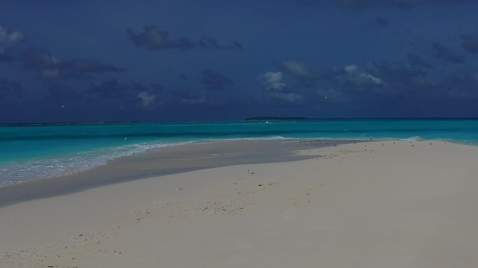 海海平面上的蓝海和棕榈树附近的白沙为例视频的预览图