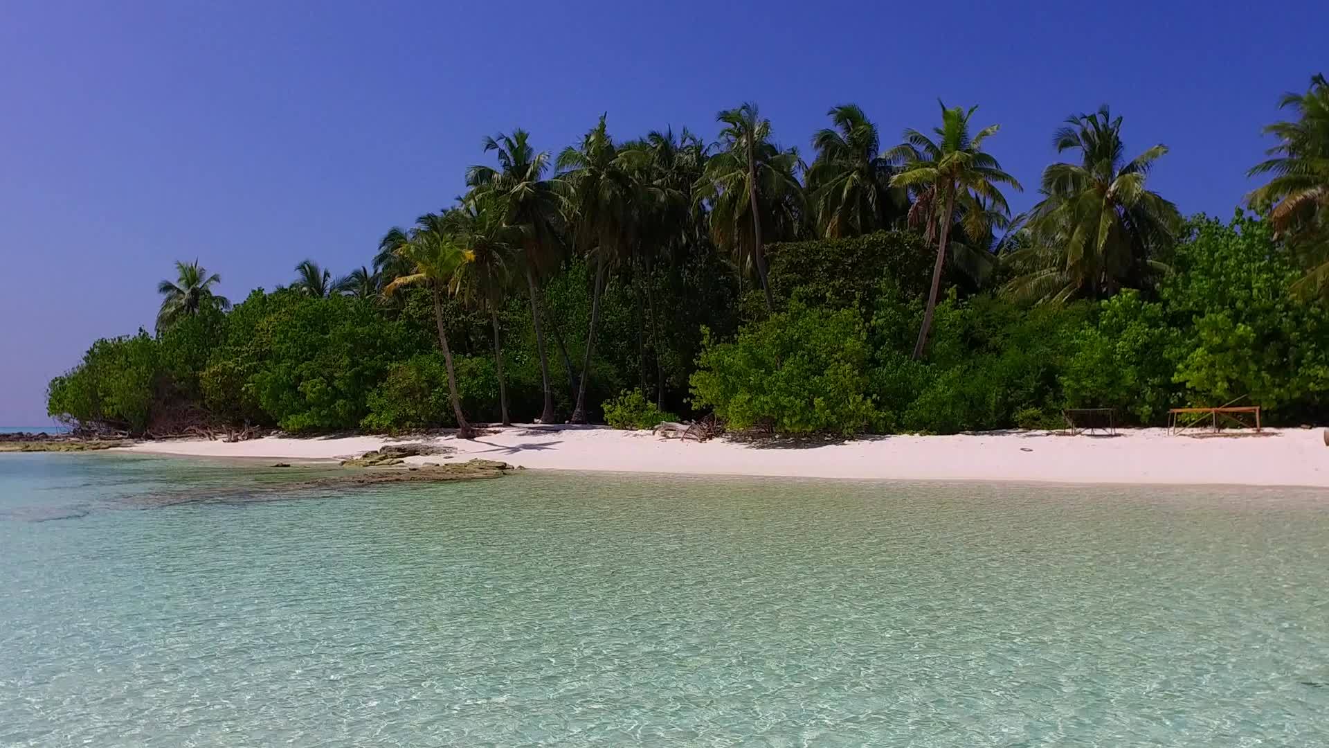 阳光明媚的美丽岛屿海滩野生动物日出后白沙背景视频的预览图