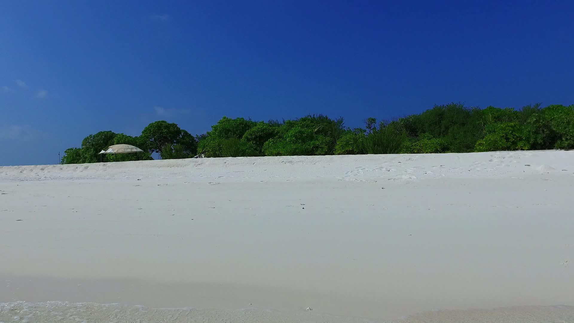 蓝色的海洋棕榈树附近有白色的沙子背景可以在海岸线上旅行视频的预览图