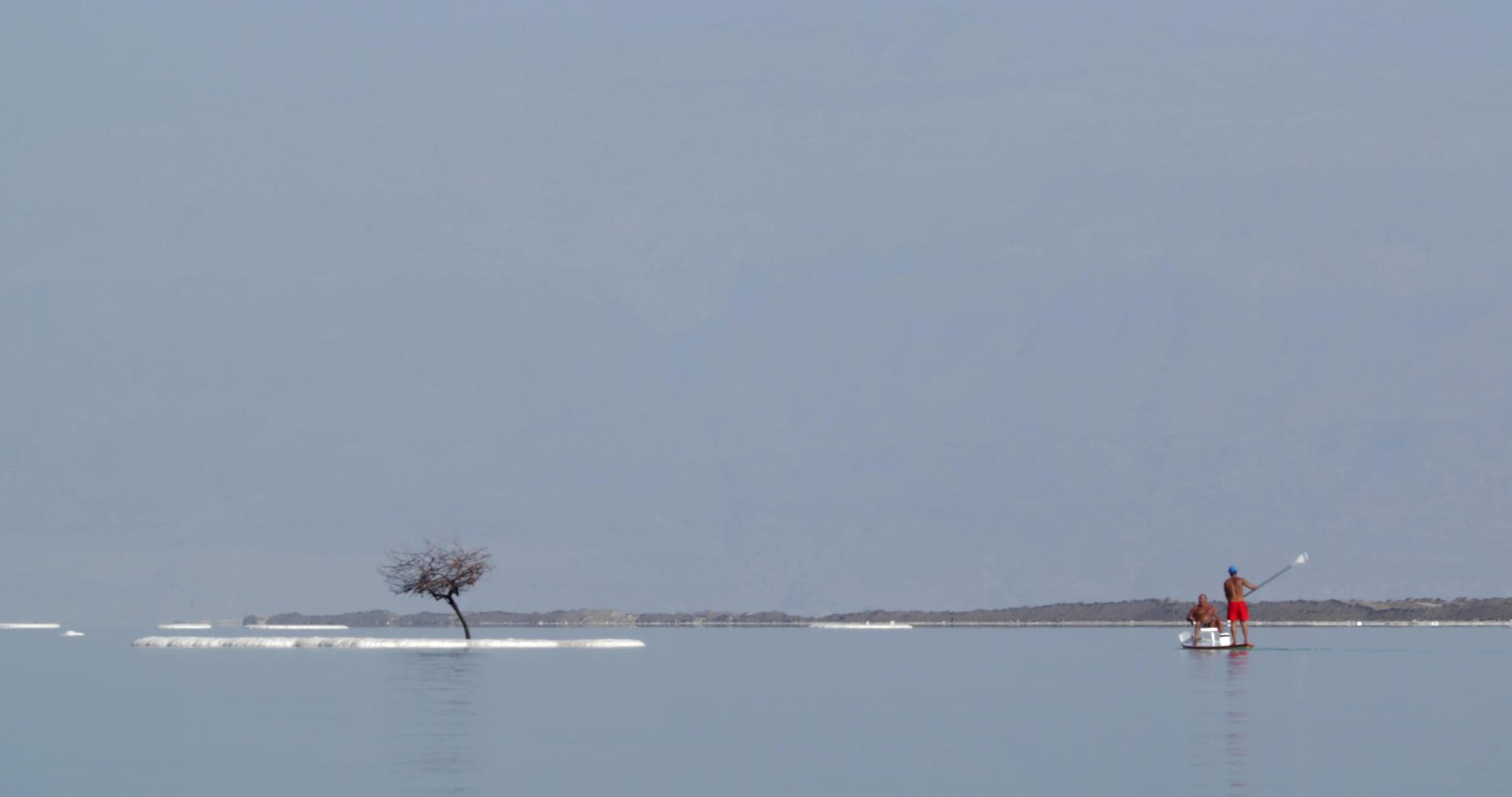 在桨板上巡逻看死海的咸岛视频的预览图