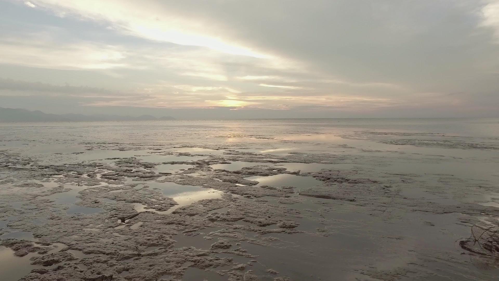 日落时在低潮时沿着海滩移动视频的预览图