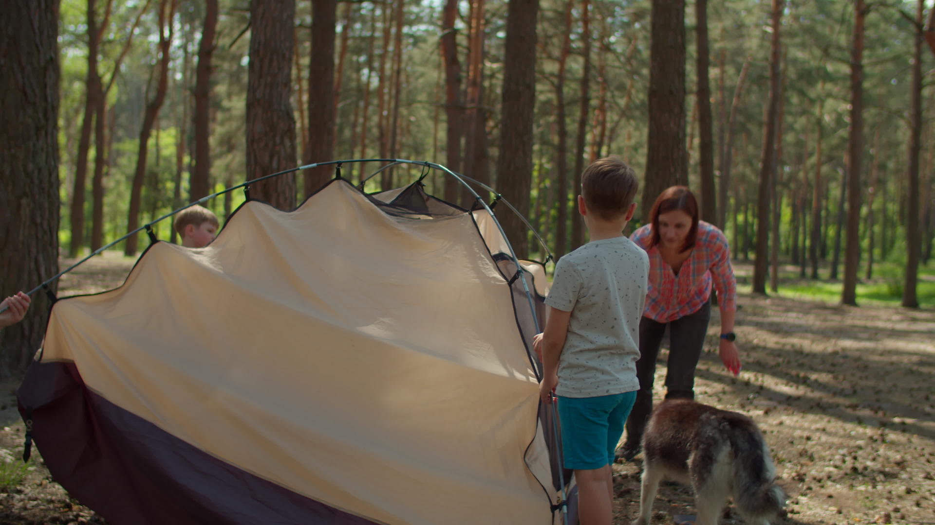 两个男孩帮助两个母亲在森林里搭起帐篷供当地家庭露营视频的预览图