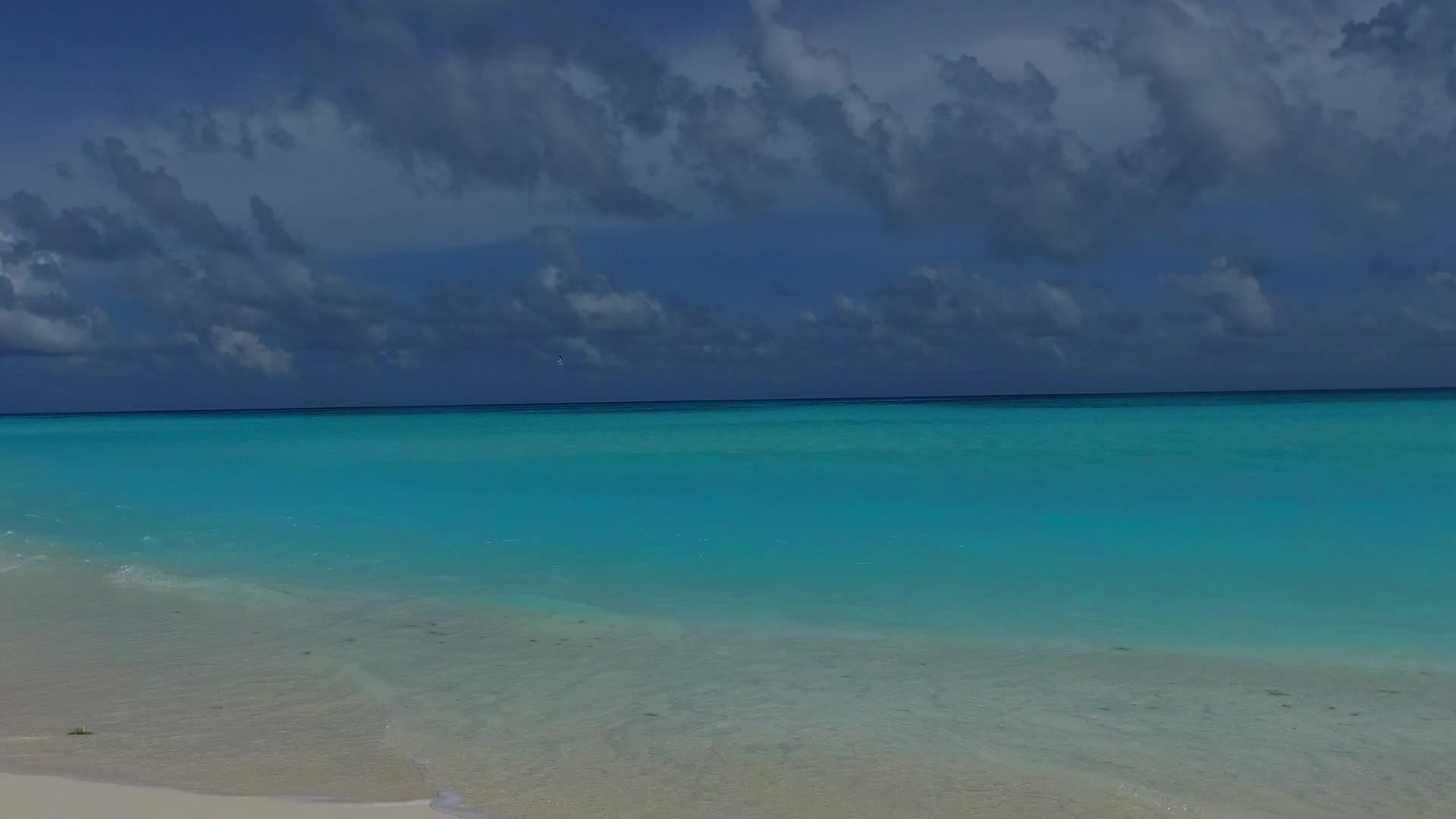 以蓝色海洋和棕榈树附近的白色沙滩为例视频的预览图
