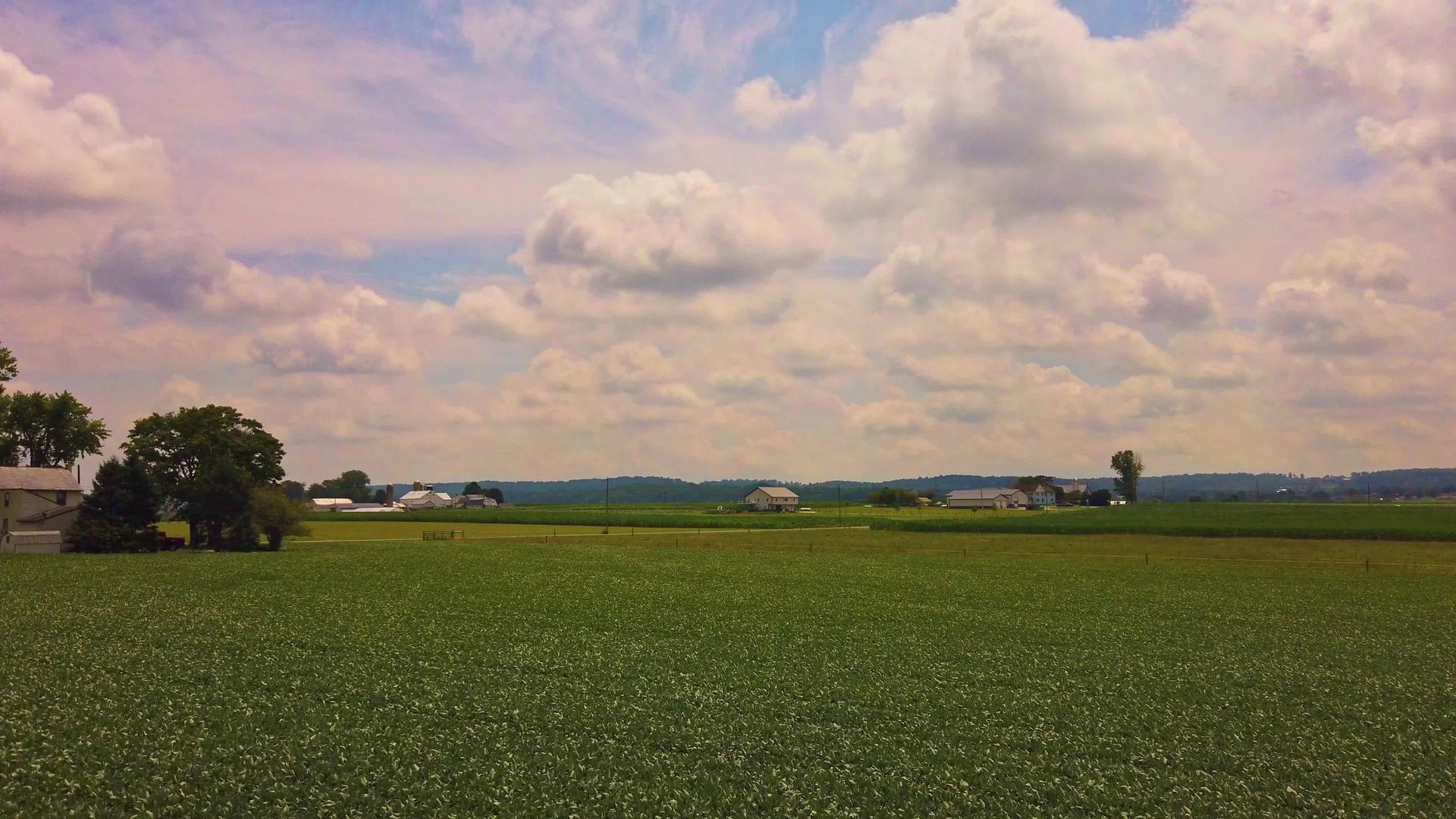 坐古老的火车看乡村农场的风景视频的预览图