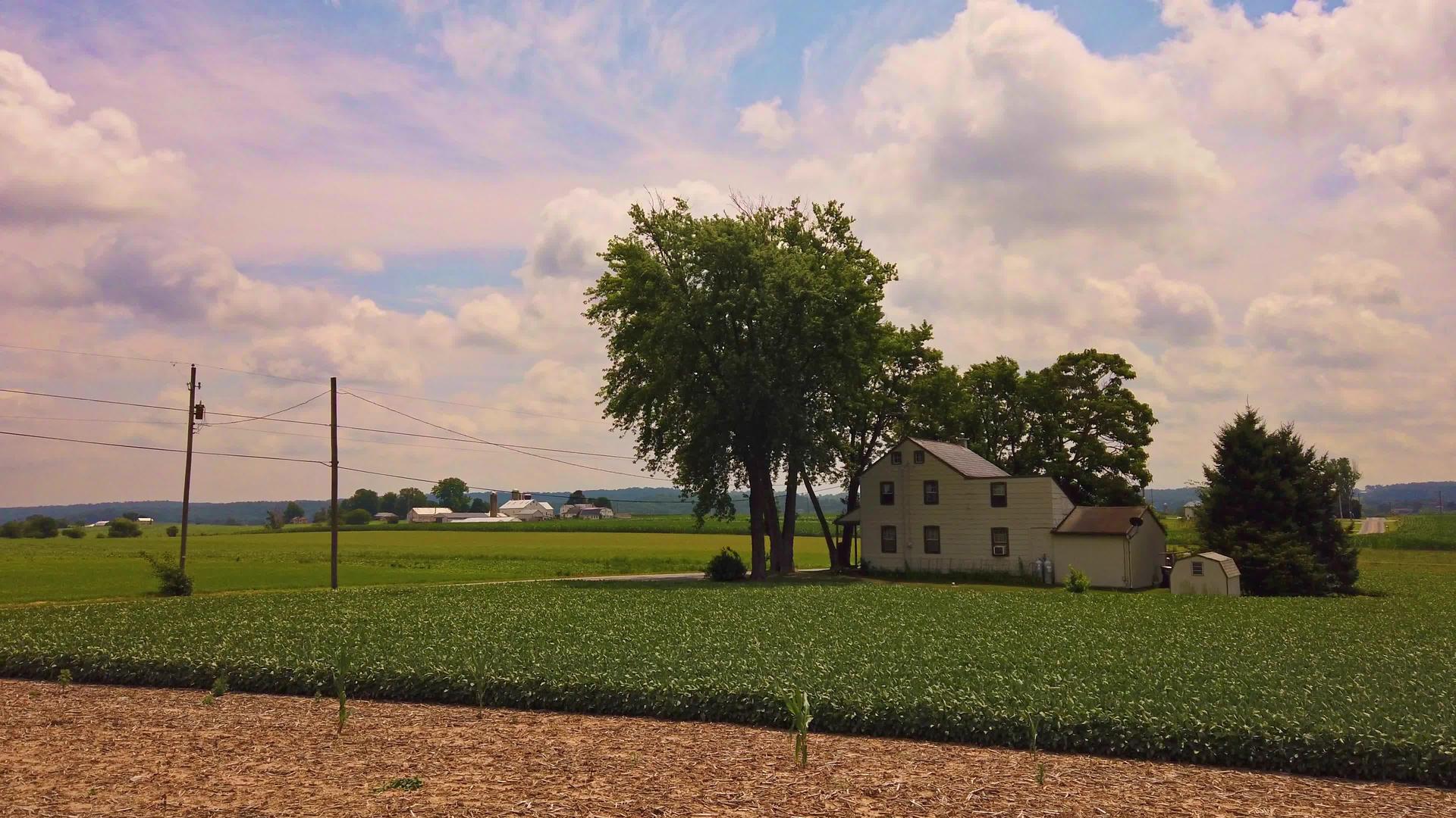 坐古老的火车看乡村农场的风景视频的预览图