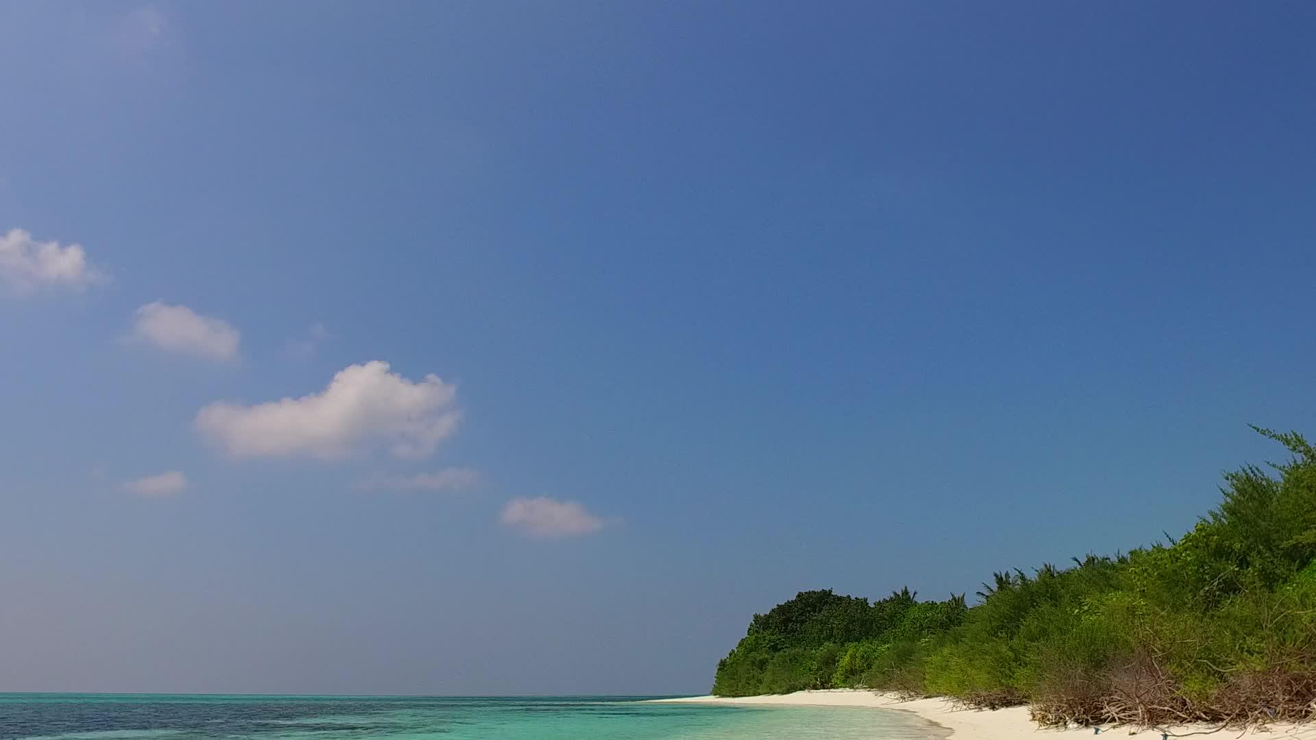 清澈的海洋和白色的海滩生活视频的预览图