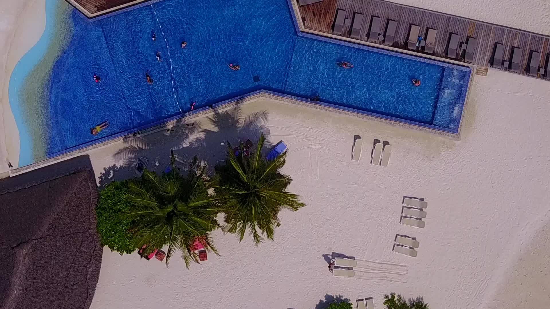 蓝海和白沙背景广角海滩野生动物靠近沙洲视频的预览图