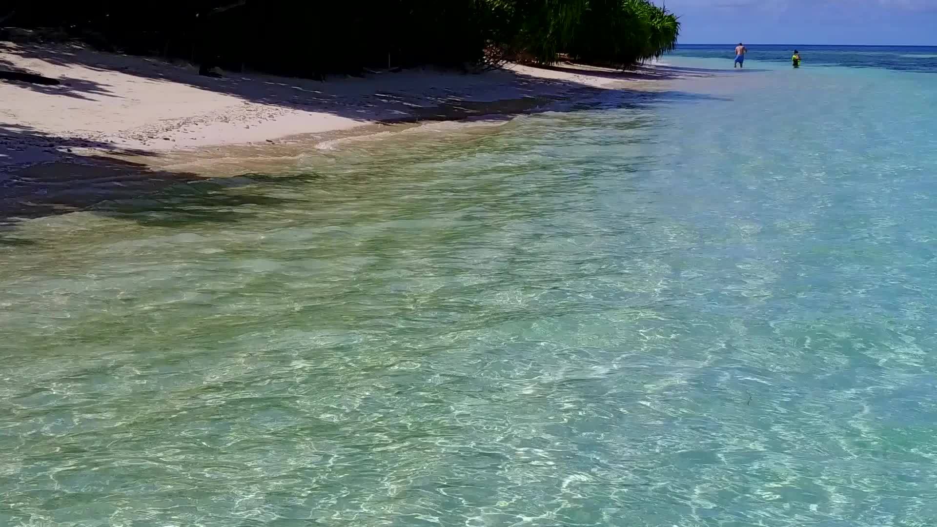 蓝色环礁湖和棕榈树附近的白沙背景宁静的旅游海滩度假视频的预览图