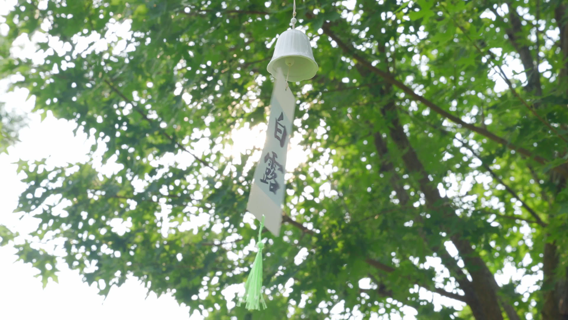 4K自然秋季森林树荫下白露节气风铃实拍视频的预览图