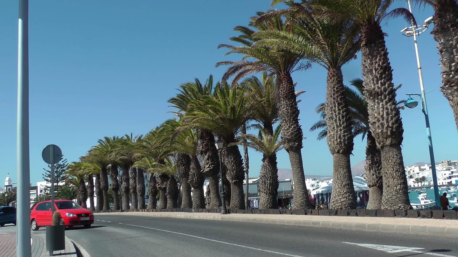 arrecife高速公路上的棕榈树视频的预览图