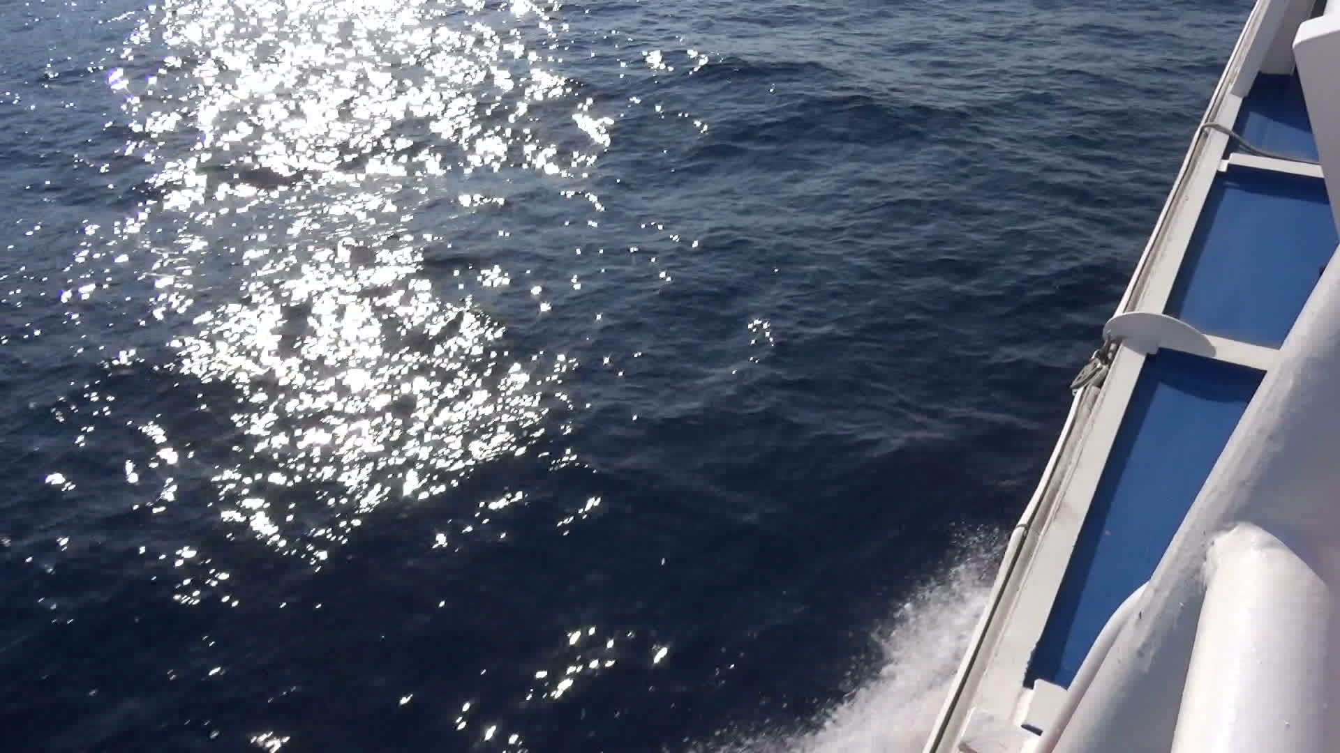 一艘快艇的灰水对抗海上的太阳光束视频的预览图