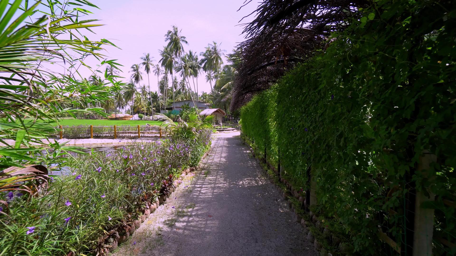 在Kampung走在自然风景的道路上视频的预览图