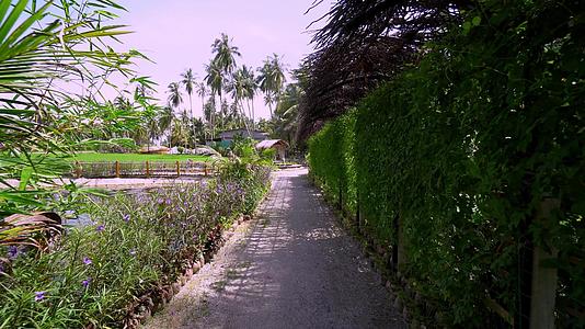 在Kampung走在自然风景的道路上视频的预览图