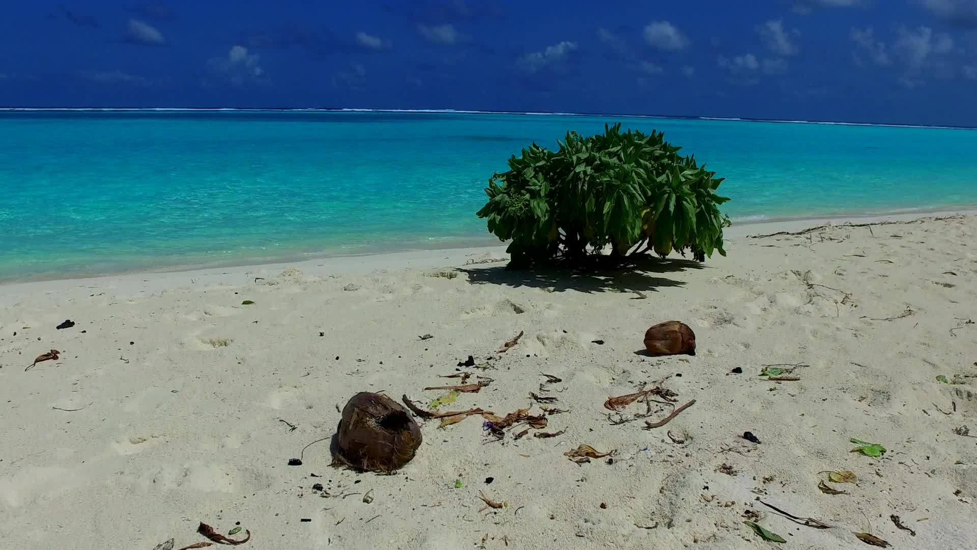 海滨海滩的天空视频的预览图