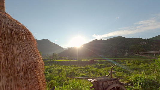 山的风景黄云和牛在日落时吃田野里的草视频的预览图