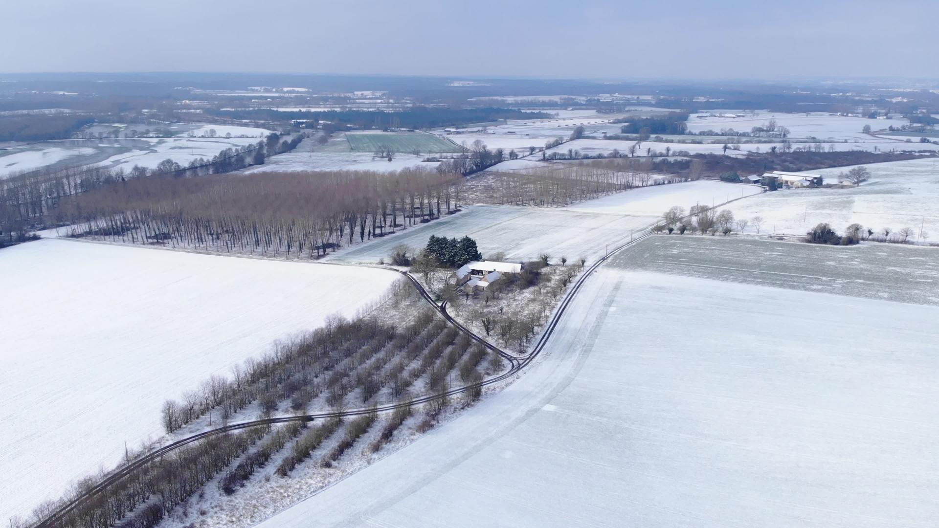 冬季景观和冬季道路树枝上的霜雪视频的预览图