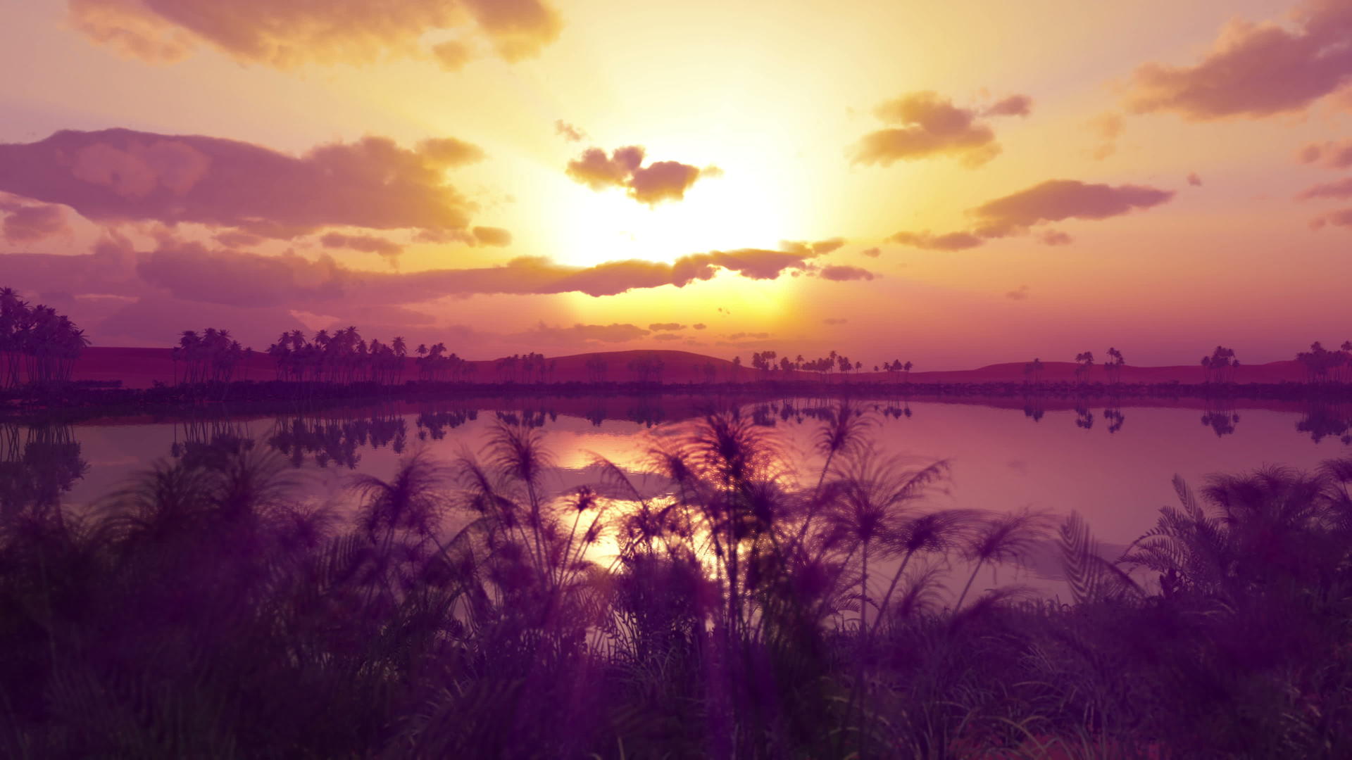 非洲4k地区绿洲的日落视频的预览图