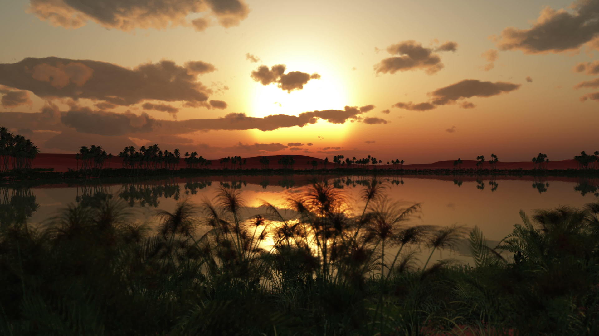 非洲4k地区绿洲的日落视频的预览图