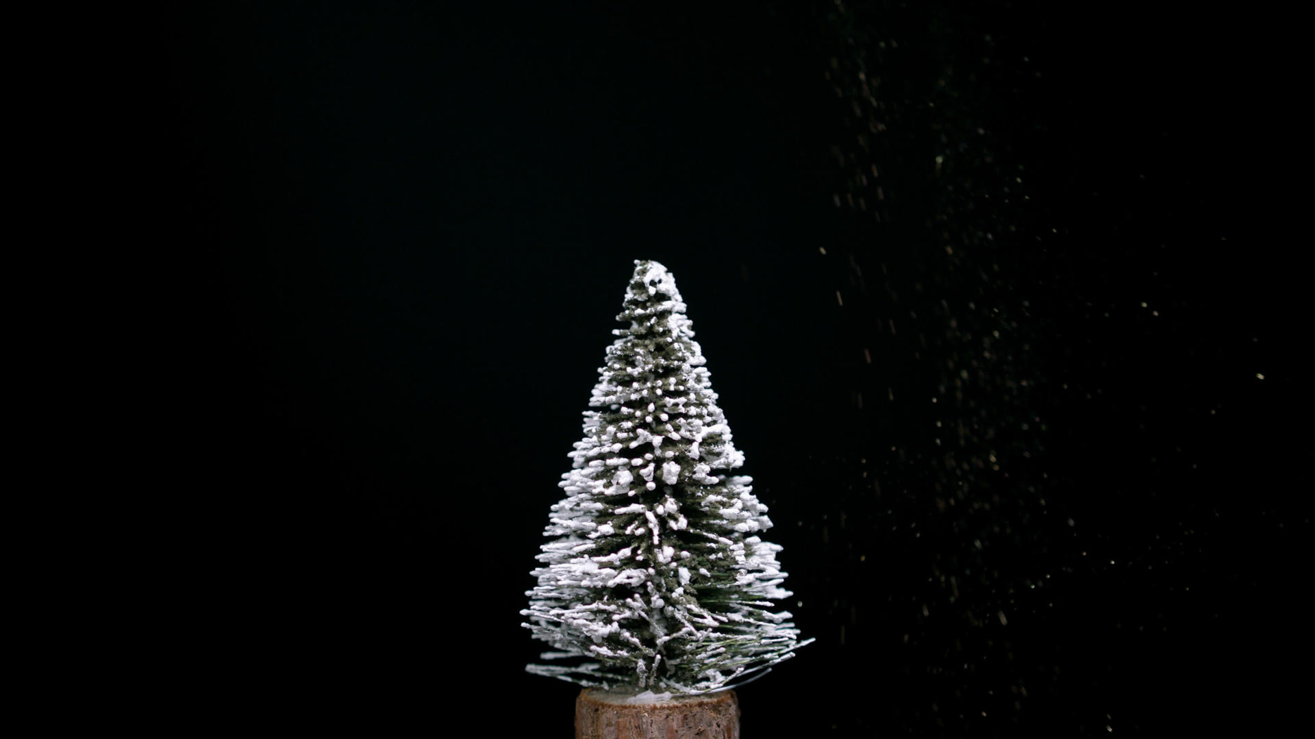 白雪覆盖的圣诞树在周围旋转雪花飘落视频的预览图