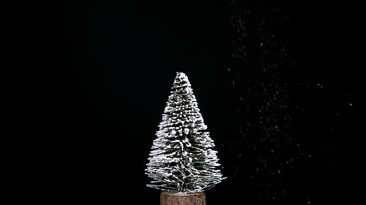 白雪覆盖的圣诞树在周围旋转雪花飘落视频的预览图